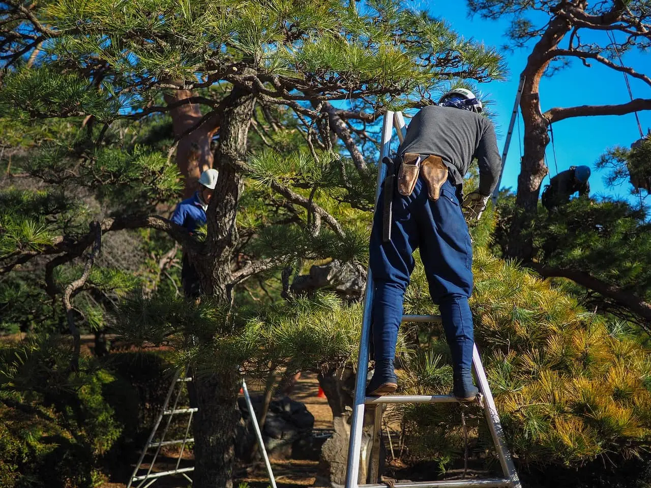 Entretien d'espaces verts